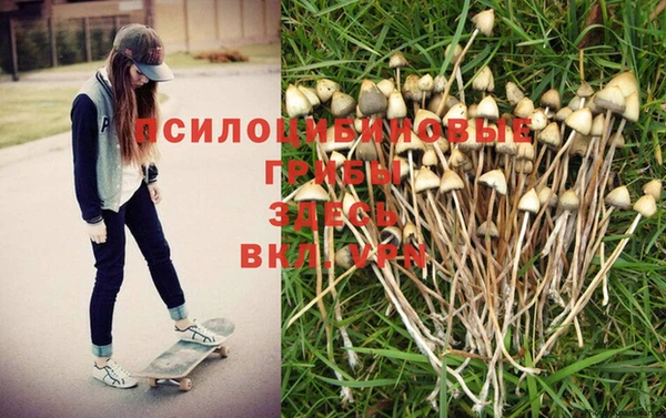 МДПВ Верхнеуральск