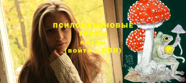 МДПВ Верхнеуральск