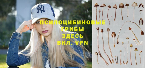 ПСИЛОЦИБИНОВЫЕ ГРИБЫ Волосово