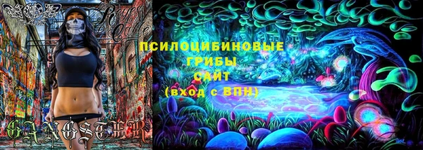 ПСИЛОЦИБИНОВЫЕ ГРИБЫ Волосово