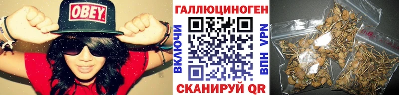 Псилоцибиновые грибы прущие грибы Полярные Зори