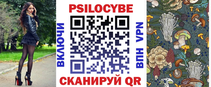 Купить Полярные Зори Псилоцибиновые грибы Cubensis